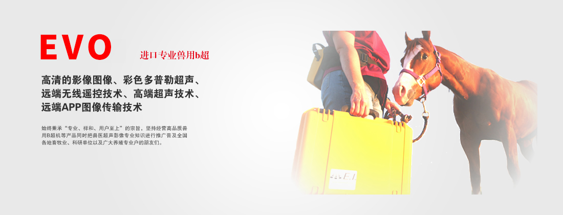 牛用B超仪