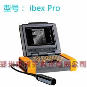 进口羊用B超 Ibex Pro