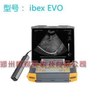 进口兽用背膘仪