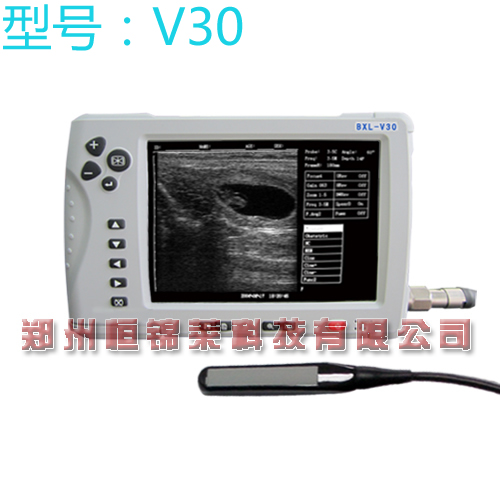 奶牛B超