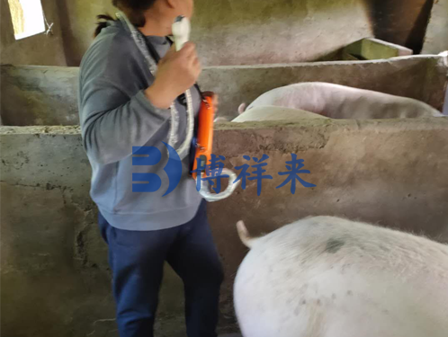便携式猪用B超机测孕